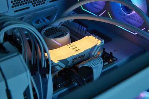 Kingston Technology FURY Renegade RGB memory module
