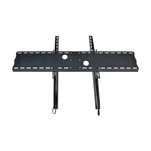 Tripp Lite DWT60100XX TV mount/stand