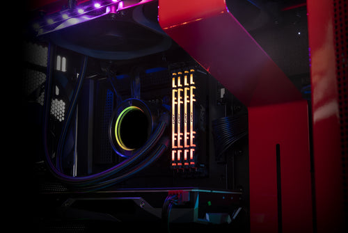 Kingston Technology FURY Renegade RGB memory module