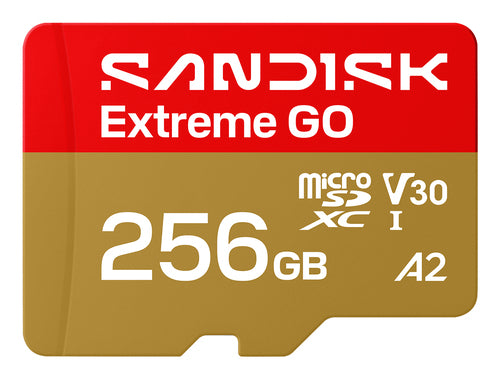 SanDisk Extreme GO