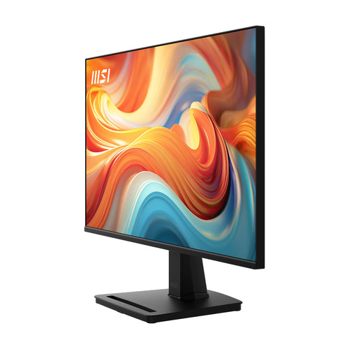 MSI Pro MP251 E14L computer monitor