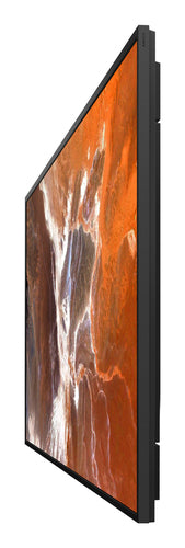 Sony BZ30P