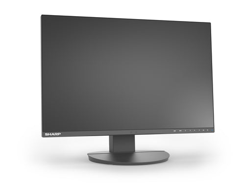 Sharp MultiSync EA241W computer monitor