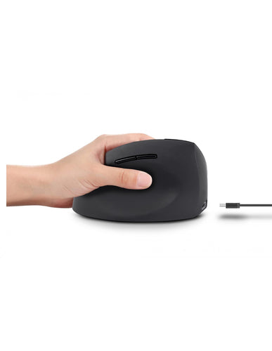 Urban Factory Ergo Next mouse