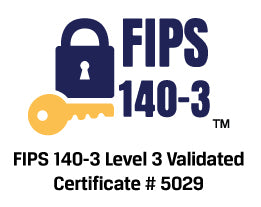 Kingston Technology IronKey D500S USB flash drive