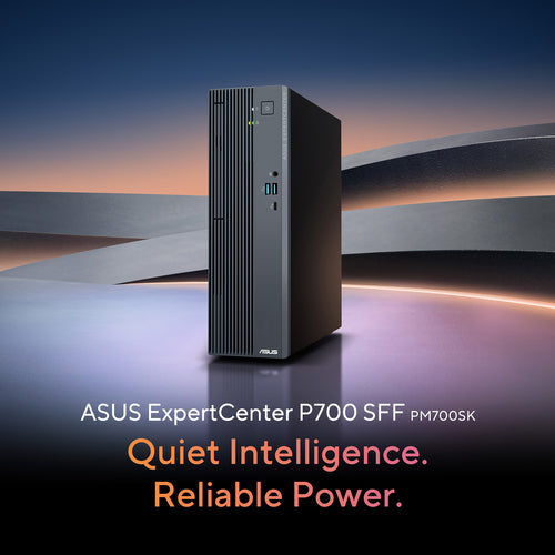 ASUS ExpertCenter PM700SK-0R7350022X