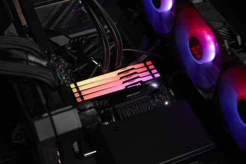 Kingston Technology FURY Beast RGB memory module