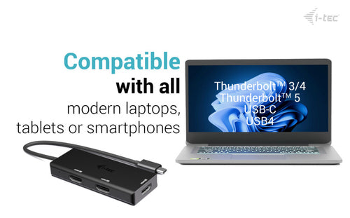 i-tec C31TRIPLE4KHDMIPD video cable adapter