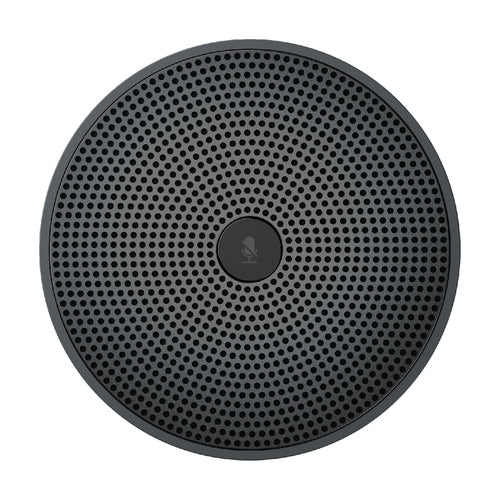 AudioCodes RX40 soundbar speaker