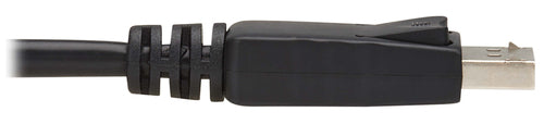 Eaton P580-010-2PK DisplayPort cable