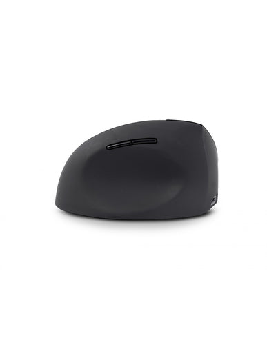 Urban Factory Ergo Next mouse
