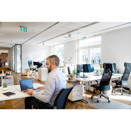 Kensington K55256WW display privacy filter