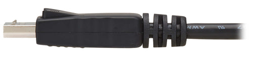 Eaton P580-010-2PK DisplayPort cable