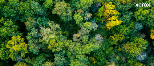 Xerox Genuine VersaLink C600/C605 Yellow Toner Cartridge - 6000 Pages