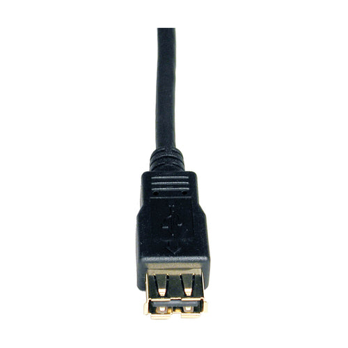 Tripp Lite U024-006 USB cable