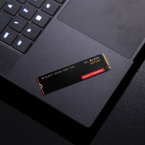 SanDisk Black WD_BLACK SN7100 NVMe