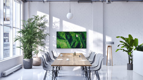 Sony BZ35P