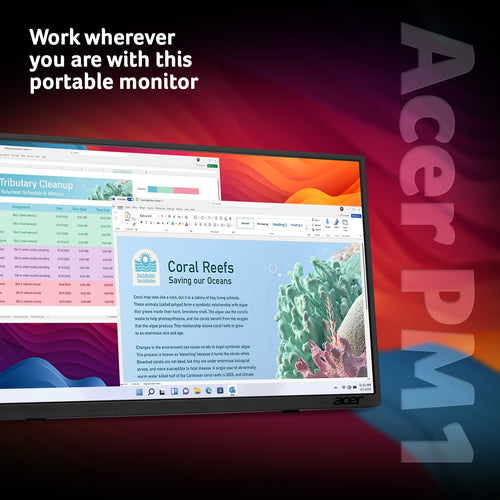 Acer PM161QTBMIUUUX15.6 PORT TCH MON computer monitor
