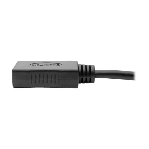 Tripp Lite P139-06N-DP4K6B DisplayPort cable