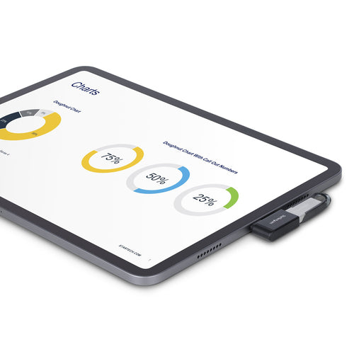 StarTech.com USB31CAADGCPRA cable gender changer