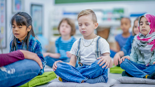 MAXCases Extreme Shell-F2