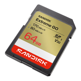 SanDisk Extreme GO