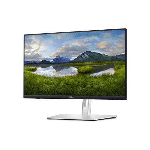 DELL P Serie P2424HT Computermonitor