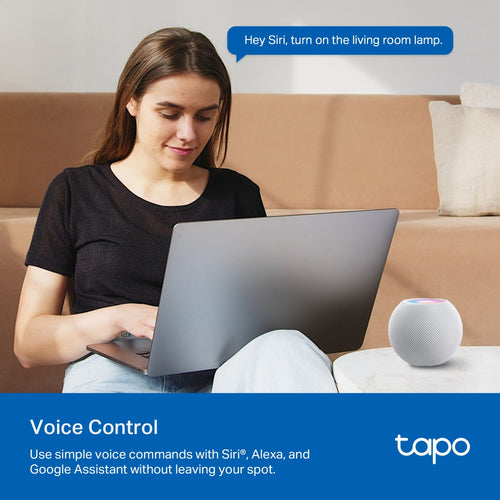 TP-Link Tapo P110M smart plug