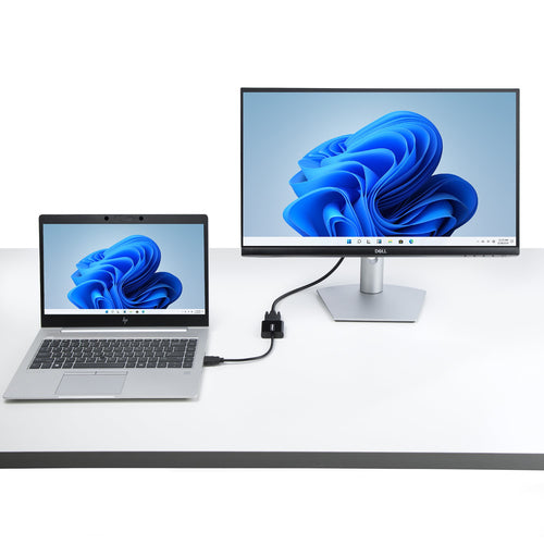 StarTech.com HD2VGAE3 video signal converter