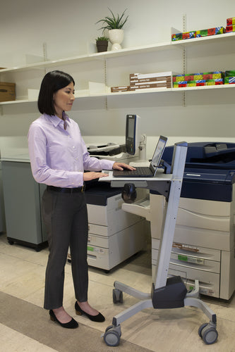 Ergotron Neo-Flex Laptop Cart