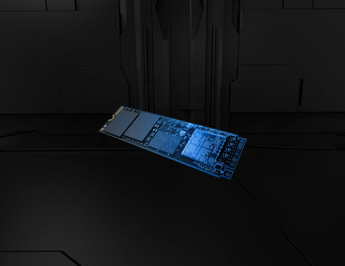 Kingston Technology FURY Renegade G5