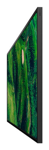 Sony BZ35P