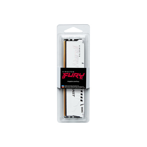 Kingston Technology FURY Beast memory module