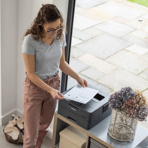 Brother HL-L2400DW laser printer