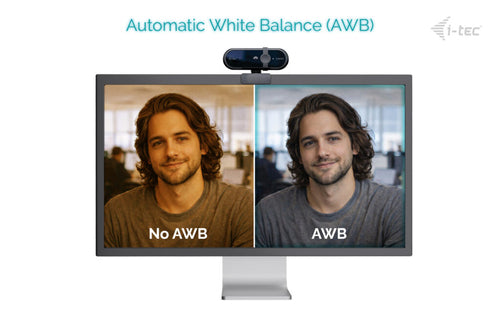 i-tec SOLOMON 100 webcam
