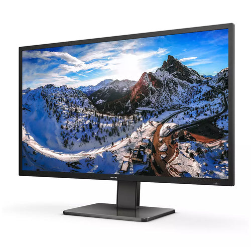 Philips P Line 439P1/00 computer monitor