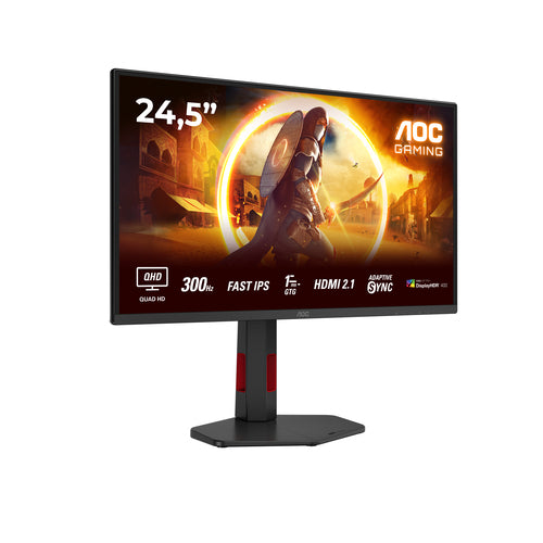 AOC G4 Q25G4SR computer monitor