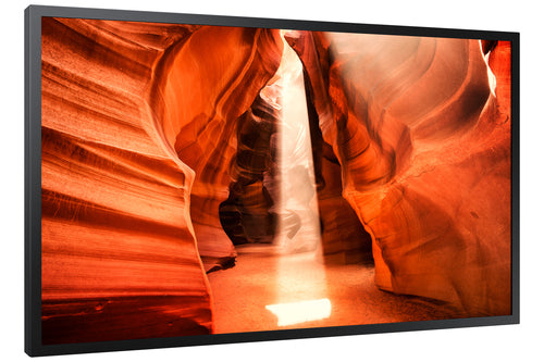 Samsung OM55N-S