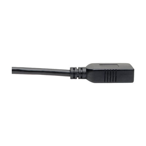 USB-C to USB-A Adapter Tripp Lite U428-C6N-F 5 Gbps 6 inches