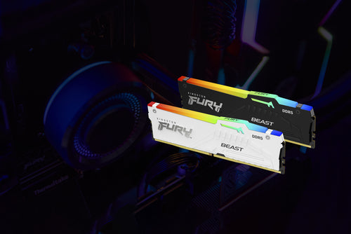 Kingston Technology FURY Beast RGB memory module