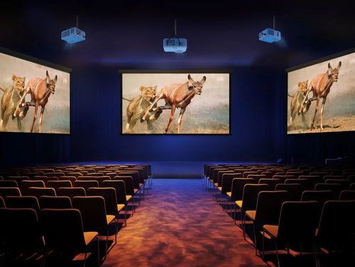 Viewsonic LSD500HD data projector