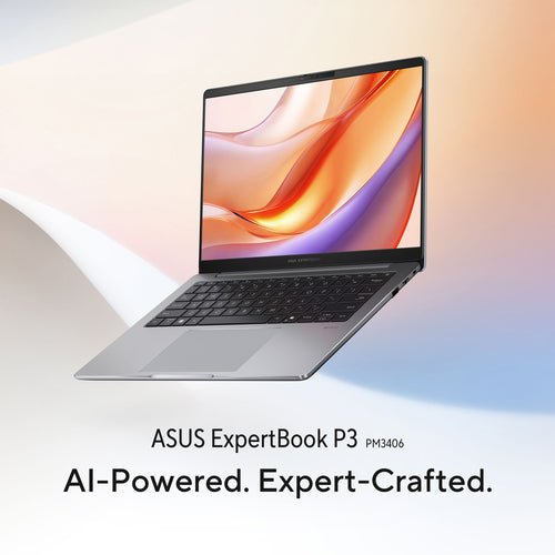 ASUS ExpertBook P3 PM3406CK-R715X