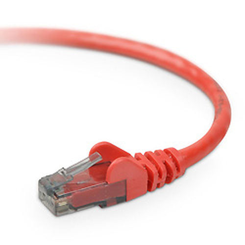 Belkin CAT6 Snagless 14ft networking cable