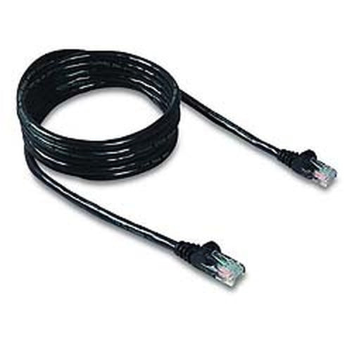 Patch Cable Belkin Cat6 20ft RJ-45 Black High-Speed Networking
