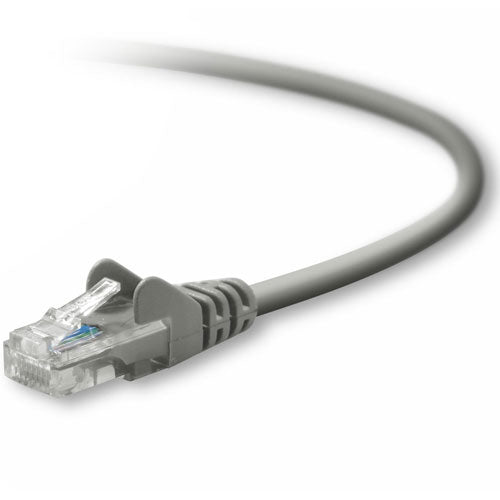 Belkin Cat5e Patch Cable - 100ft networking cable