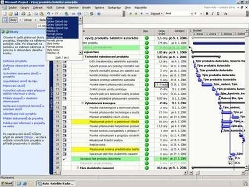 Microsoft Project Standard