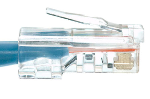 eNet Components Cat6 10ft. networking cable