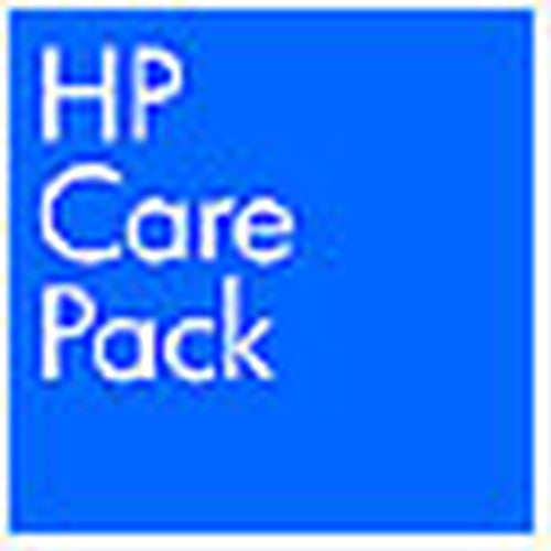 HP 1 WS Only Basic Install Service