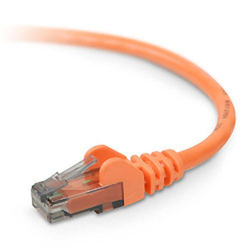 Belkin CAT6 Snagless networking cable