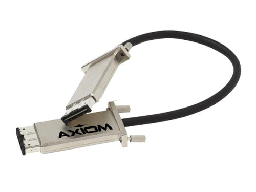 Axiom CABGS2M-AX networking cable